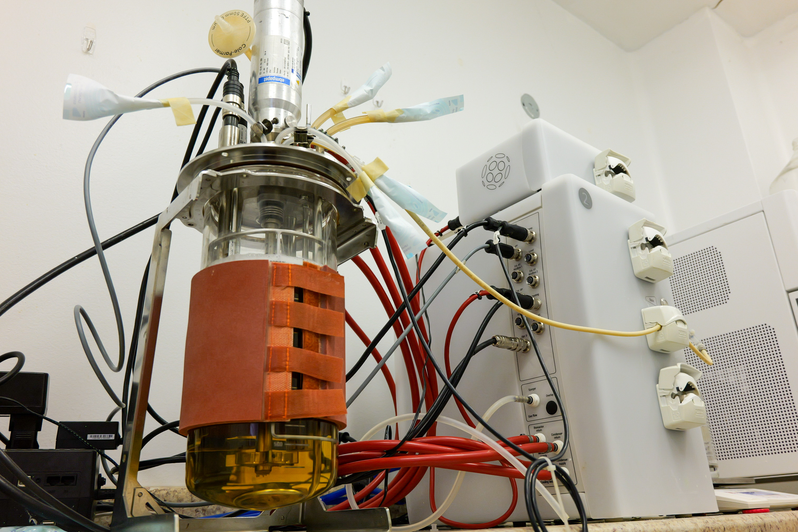 ProbioFerm facility fermentation suite